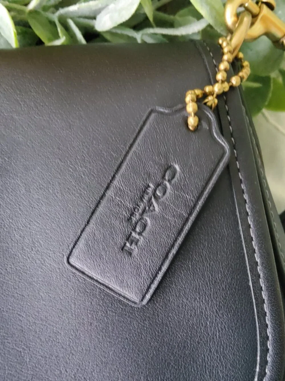 Coach this bag